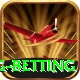 turkey super lig betting Plus Edition v3.9.5