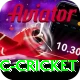 uc cricket Pro Edition v4.9.8