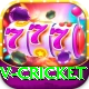 v cricket Turbo Pro v2.7.9