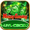 watch live cricket Games (Casino & Earning) VIP v5.7.6