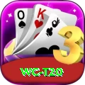 wc t20 VIP Pro v5.9.1