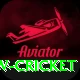 willow cricket Deluxe Pro v3.9.0