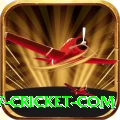 www cricket com Deluxe Pro v2.7.3